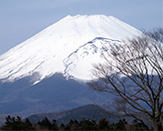 富士山1日観光コース